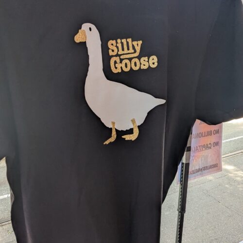 Silly Goose T-Shirt
